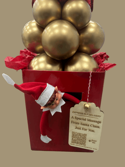 Interactive Elf Express Delivery Engraved Wooden Tags & Video Message